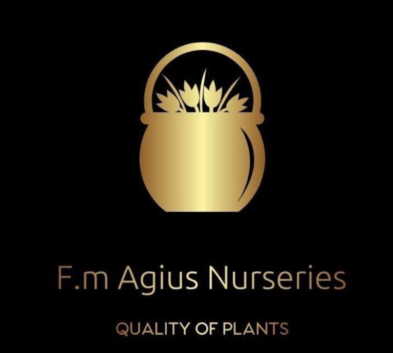 fm Agius 768x690