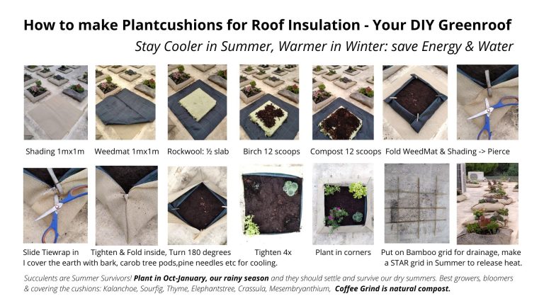 2023 JPG How to make a Roof Insulation Garden Succulents in cushions of Shading Weedmat Rockwool Birch Compost 768x432