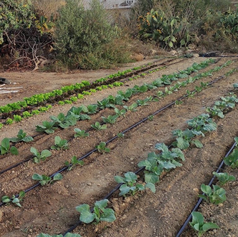 New Generation Natural Farming 768x766