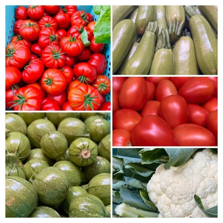Tal grazzja fruit veg 768x768