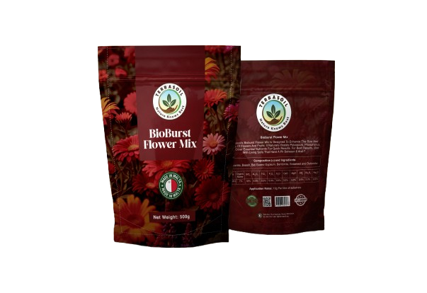 Foil Product Packaging Mockup PSD copy removebg preview